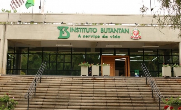 Covid-19: Butantan identifica nova variante recombinante em São Paulo