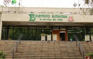 Covid-19: Butantan identifica nova variante recombinante em São Paulo